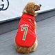 Ropa deportiva para perros para el verano